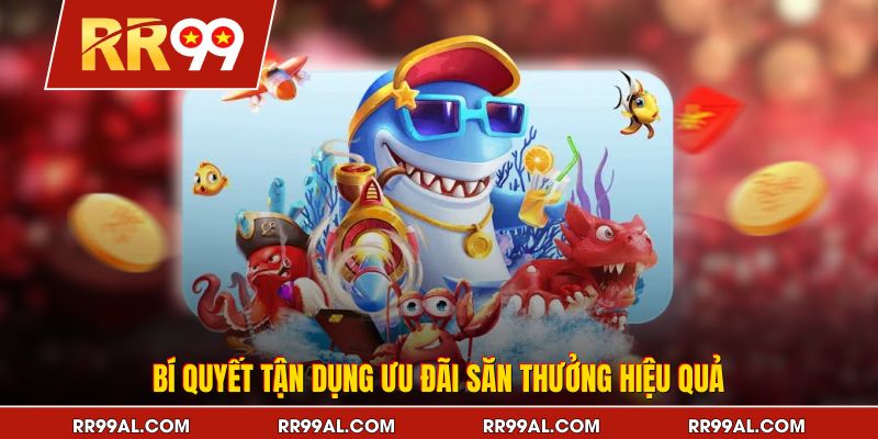 Bí quyết tận dụng ưu đãi săn thưởng hiệu quả