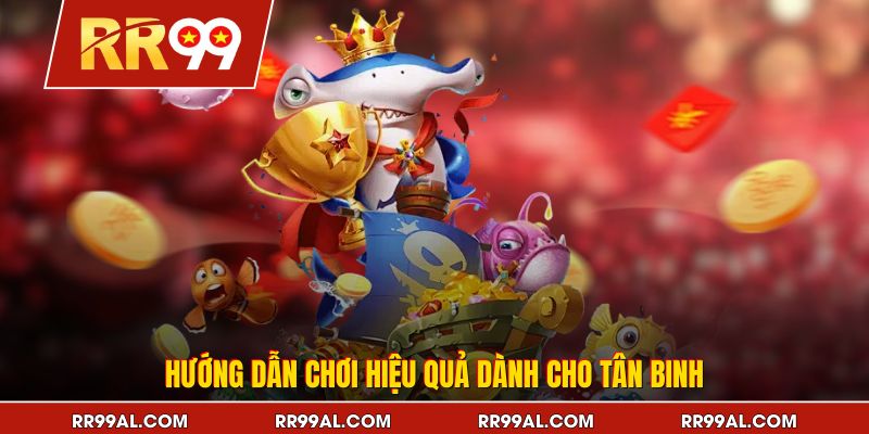 Hướng dẫn chơi hiệu quả dành cho tân binh