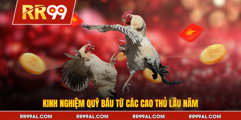 Kinh nghiệm quý báu từ các cao thủ lâu năm