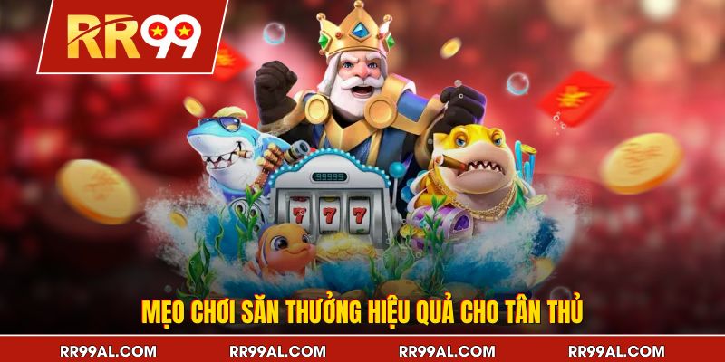 Mẹo chơi săn thưởng hiệu quả cho tân thủ