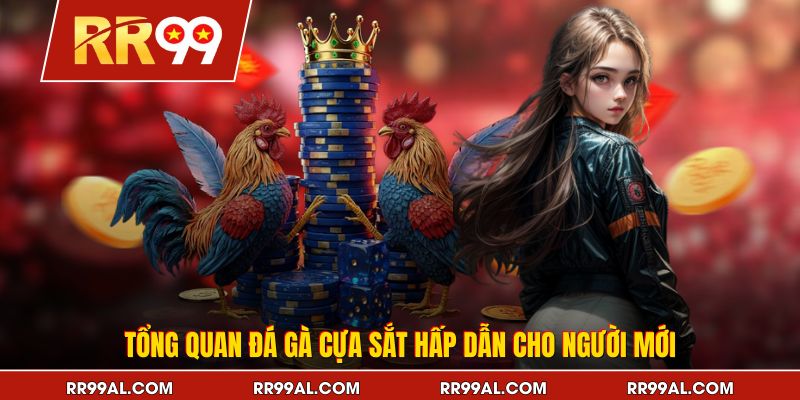 Tổng quan đá gà cựa sắt hấp dẫn cho người mới