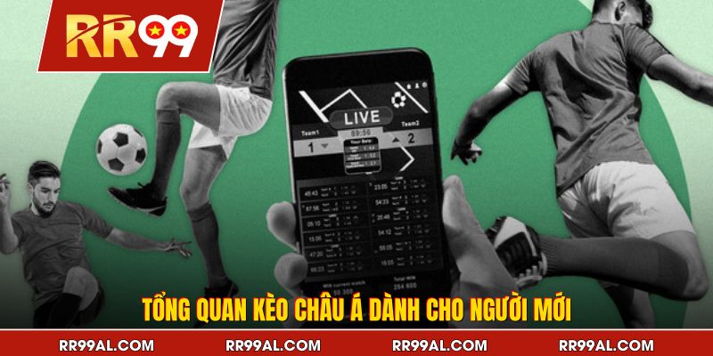 Tổng quan kèo châu Á dành cho người mới